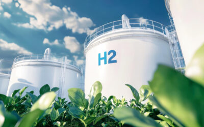 Die Wasserstoffwirtschaft braucht verlässliche Unterstützung